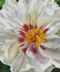 White Peony 5D Diamond Painting