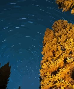 Yellow Tree In The Night Sky 5D Diamond Painting