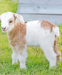 Adorable Baby Goat 5D Diamond Painting