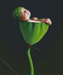 Anne Geddes 5D Diamond Painting