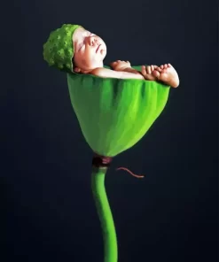 Anne Geddes 5D Diamond Painting