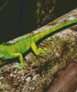 Anolis Garmani 5D Diamond Painting