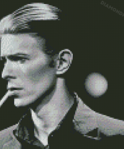 Black And White Thin White Duke 5D Diamond Painting