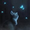 Butterflies Cat Night 5D Diamond Painting