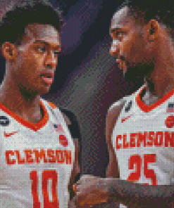 Clemson University Basketballers 5D Diamond Painting