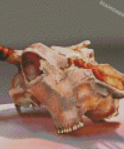 Cow Skull Art 5D Diamond Painting