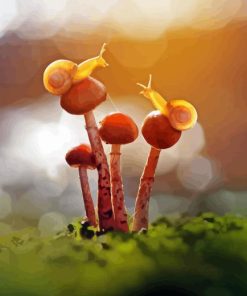 Mushroom And Snail 5D Diamond Painting