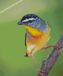 Pardalote Illustration 5D Diamond Painting