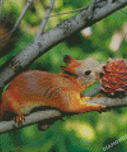 Squirrel Eating Pinecone 5D Diamond Painting