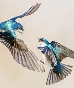 Tree Swallow Birds 5D Diamond Painting