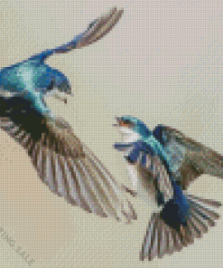 Tree Swallow Birds 5D Diamond Painting