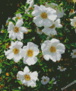 White Cherokee Flowers 5D Diamond Painting