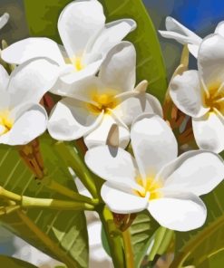 White Frangipani Flowers 5D Diamond Painting