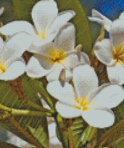 White Frangipani Flowers 5D Diamond Painting