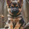 Cute German Shepherd Puppy 5D Diamond Painting