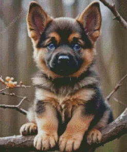 Cute German Shepherd Puppy 5D Diamond Painting