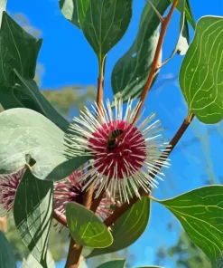 Hakea Plant 5D Diamond Painting