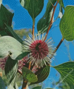 Hakea Plant 5D Diamond Painting