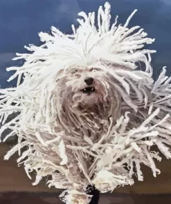 Komondor 5D Diamond Painting