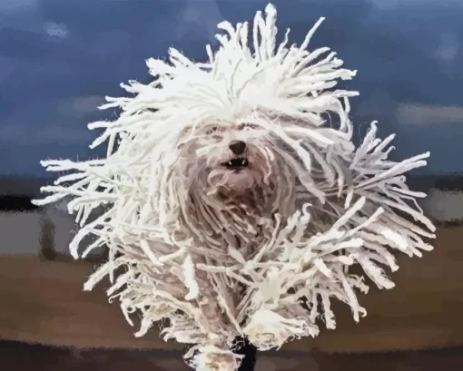 Komondor 5D Diamond Painting