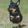 Lancashire Heeler 5D Diamond Painting