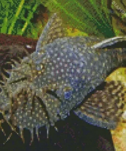 Pleco Fish 5D Diamond Painting