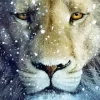 Snow Lion Face 5D Diamond Painting