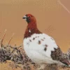 Willow Ptarmigan 5D Diamond Painting