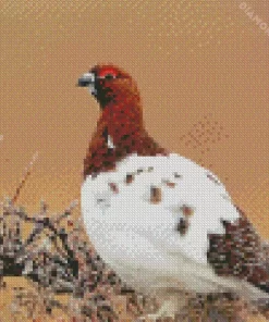 Willow Ptarmigan 5D Diamond Painting