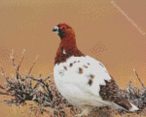 Willow Ptarmigan 5D Diamond Painting