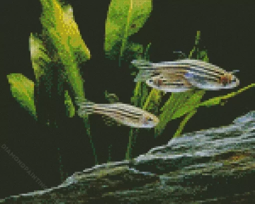 Zebrafish Art 5D Diamond Painting