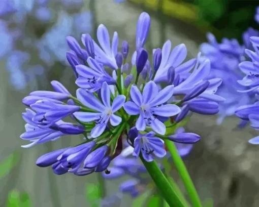 Agapanthus 5D Diamond Painting