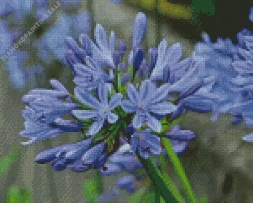 Agapanthus 5D Diamond Painting