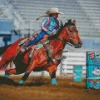 Barrel Racer 5D Diamond Painting