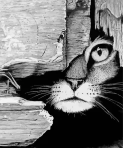 Black And White Hiding Cat 5D Diamond Painting