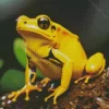 Golden Poison Dart Frog 5D Diamond Painting