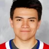 Nick Suzuki 5D Diamond Painting