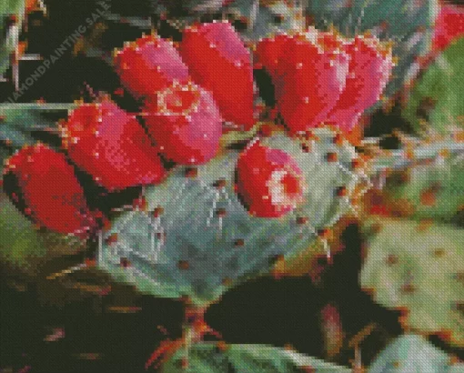 Prickly Pear 5D Diamond Painting