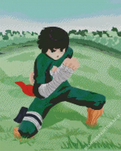 Rock Lee 5D Diamond Painting