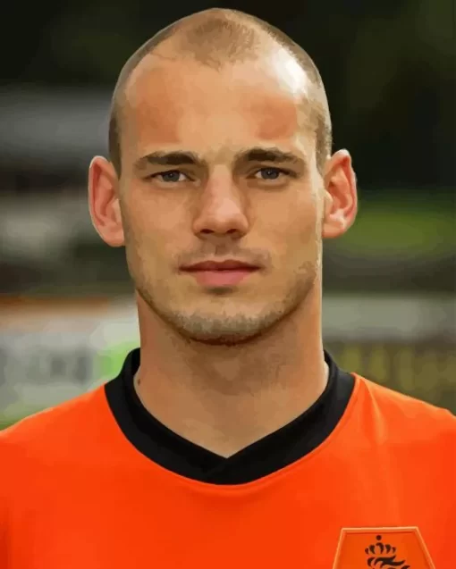 Wesley Sneijder 5D Diamond Painting