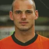 Wesley Sneijder 5D Diamond Painting