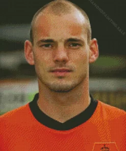 Wesley Sneijder 5D Diamond Painting