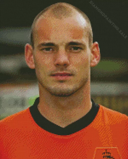 Wesley Sneijder 5D Diamond Painting