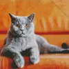 Aesthetic Cat With Orange Eyes 5D Diamond Painting