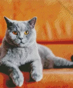 Aesthetic Cat With Orange Eyes 5D Diamond Painting