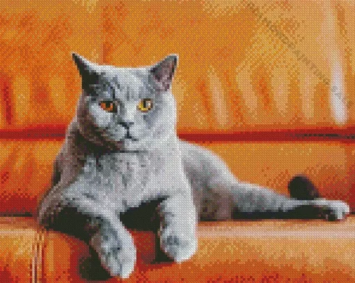 Aesthetic Cat With Orange Eyes 5D Diamond Painting