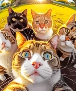 Aesthetic Group Cats Selfie 5D Diamond Painting