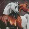 Brown And Blonde Arabian Horse 5D Diamond Painting