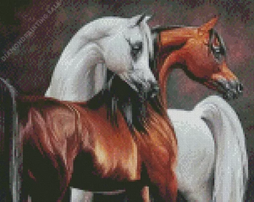 Brown And Blonde Arabian Horse 5D Diamond Painting