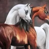 Brown And Blonde Arabian Horse 5D Diamond Painting